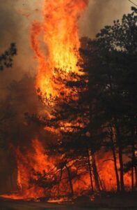 Gdzie jest pożar Grecja 2024