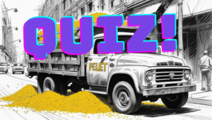 Ile wiesz o ogrzewaniu pelletem [TEST]