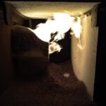 Wydajność podajnika automatycznego